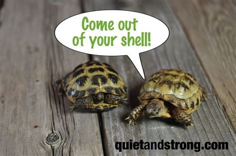 vacation scheme training contract top tips